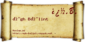 Ágh Bálint névjegykártya
