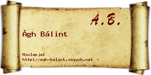 Ágh Bálint névjegykártya